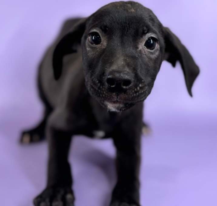 Photo of Charlie