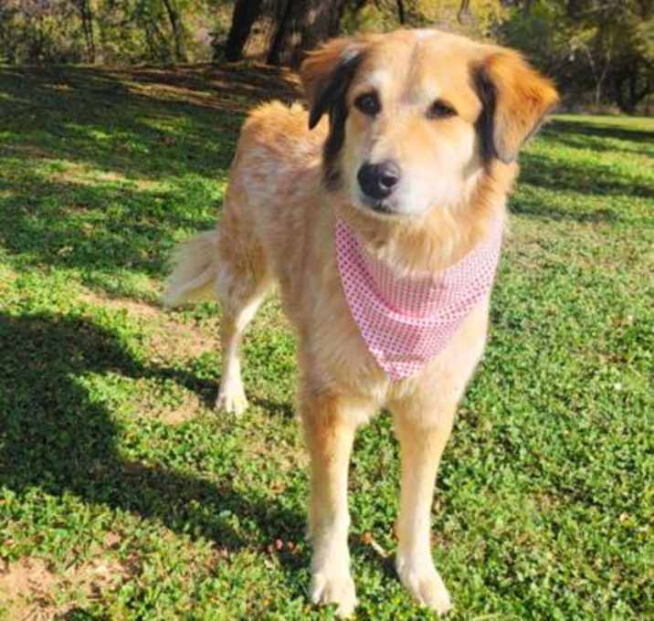 Photo of Ruby