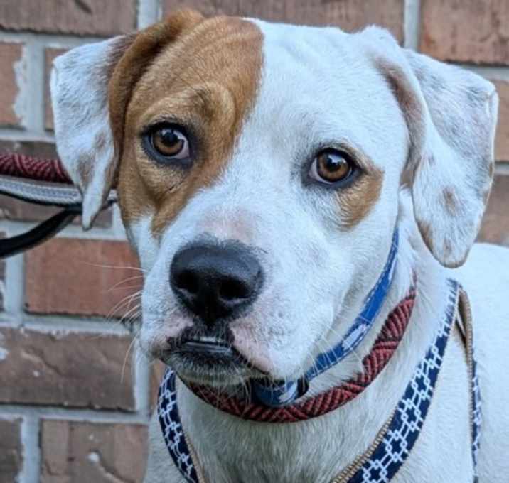 Photo of Hera