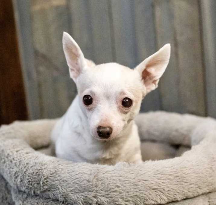 Photo of Grandma