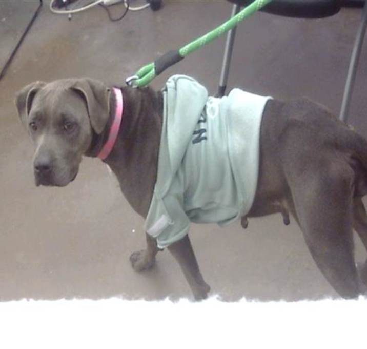 Photo of DAISY