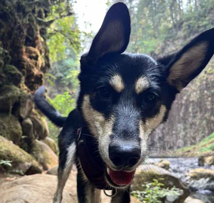 Photo of Oakley