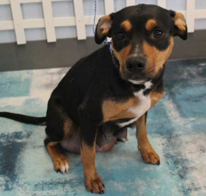Photo of Sassy URGENT GONNA DIE!