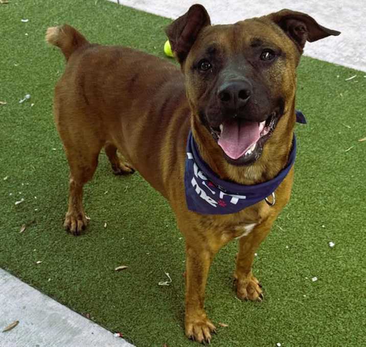 Photo of BRADY