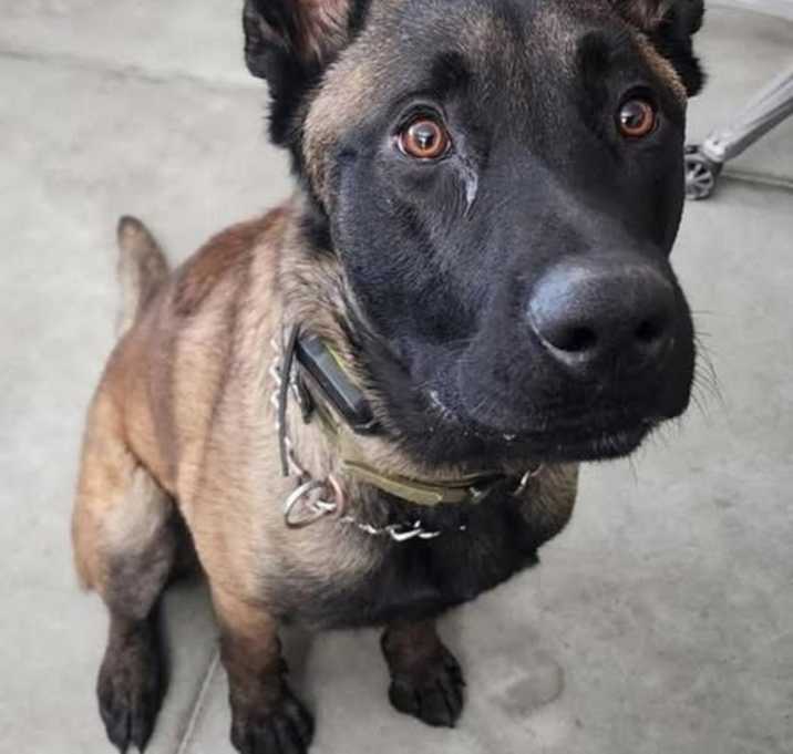 Photo of MAX