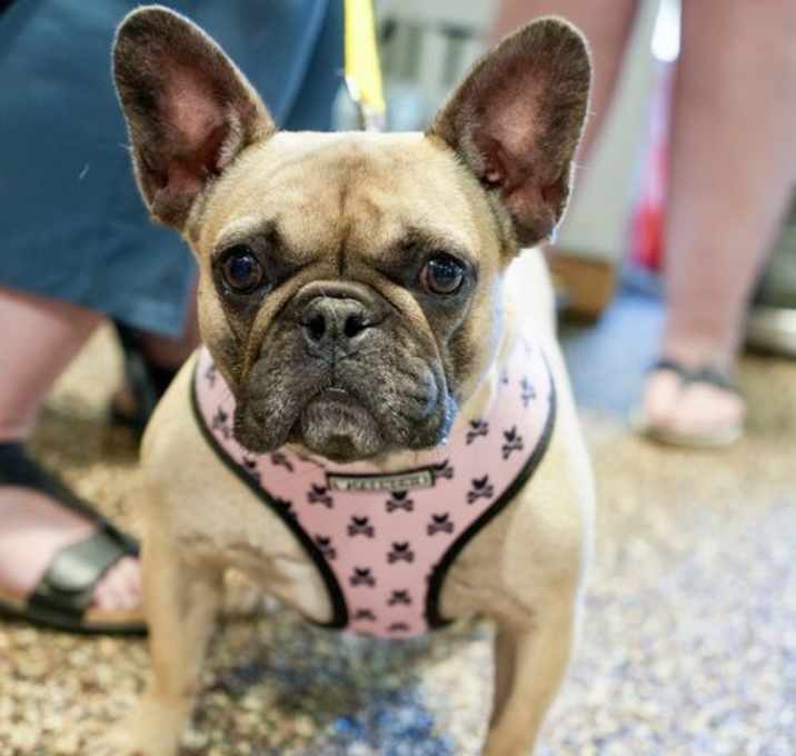 Photo of Laverne