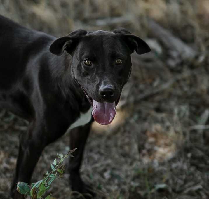 Photo of Stanley