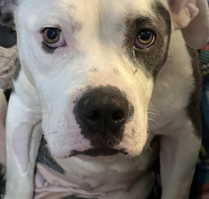 Photo of Ruthie