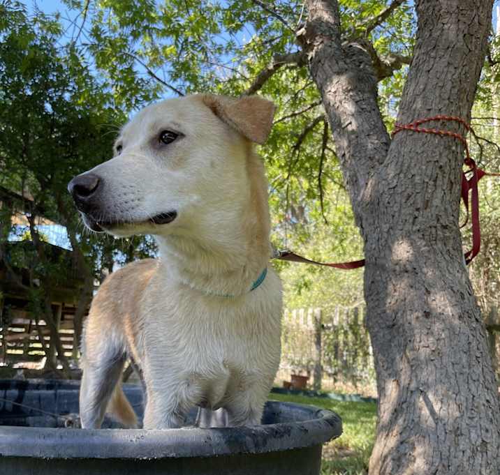 Photo of Clementine