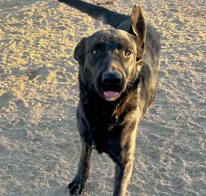 Photo of FREYA