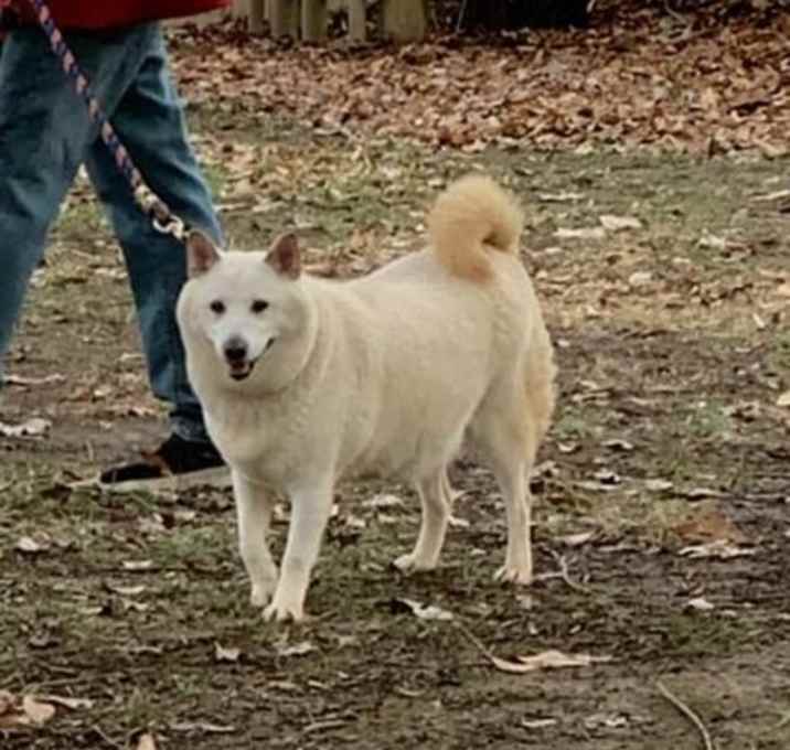 Photo of Missy
