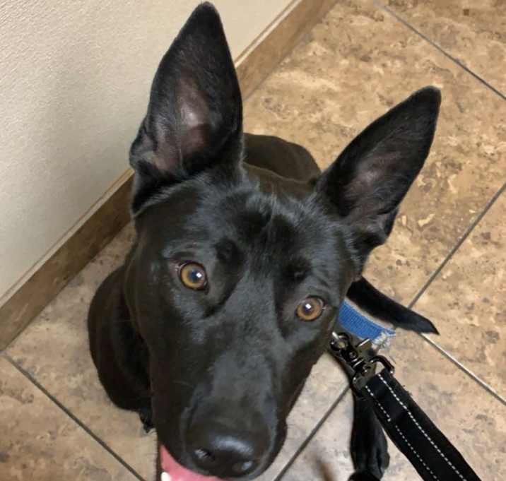 Photo of Kujo