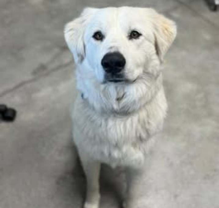 Photo of LUCY