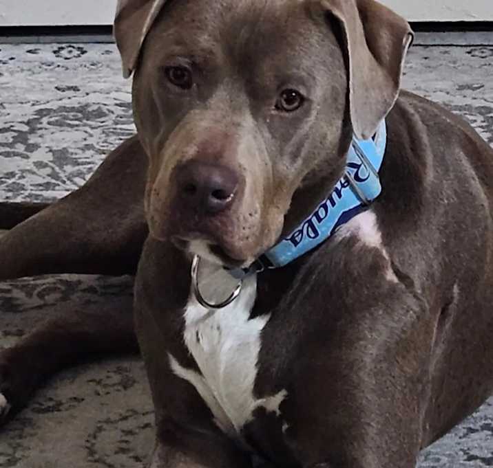 Photo of Hudson