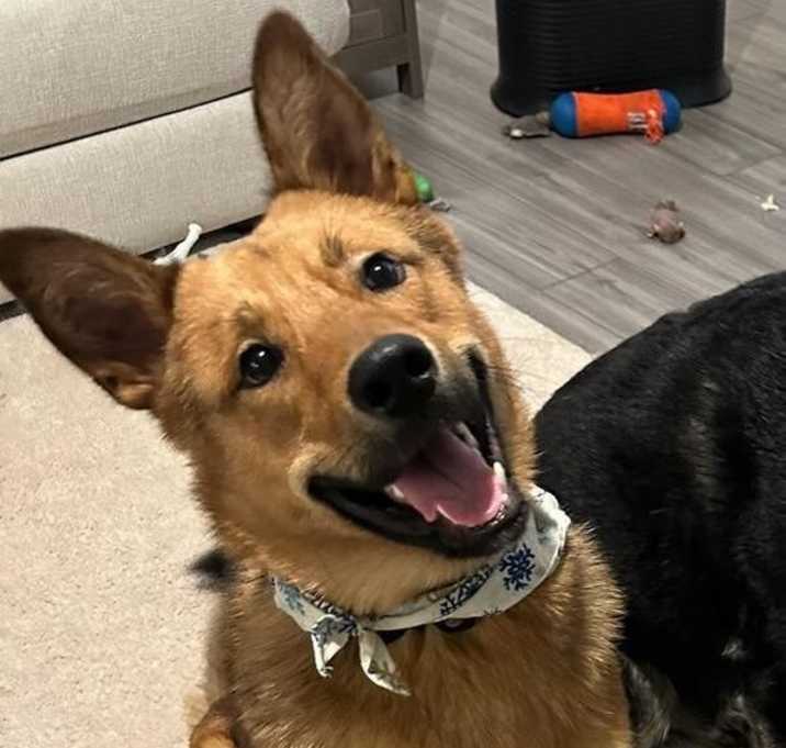 Photo of Kylo