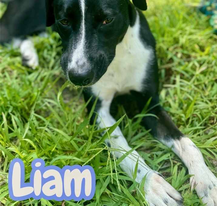 Photo of Liam