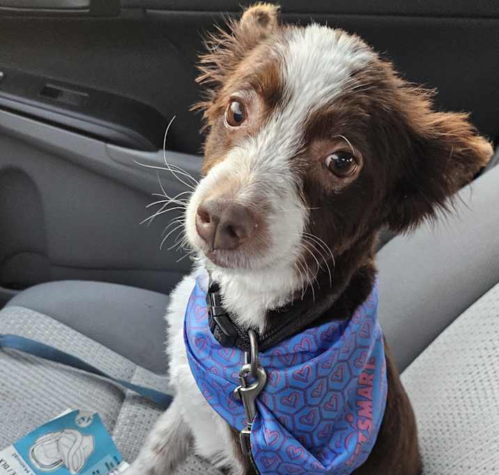 Photo of Mocha
