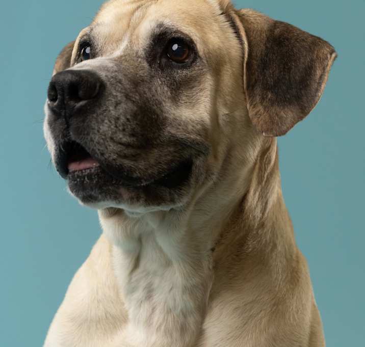 Photo of Winston