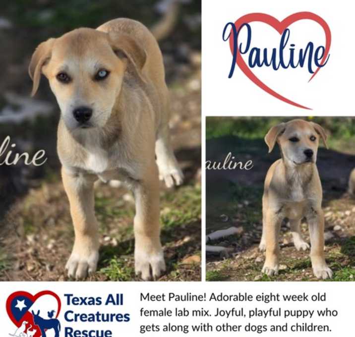 Photo of Pauline