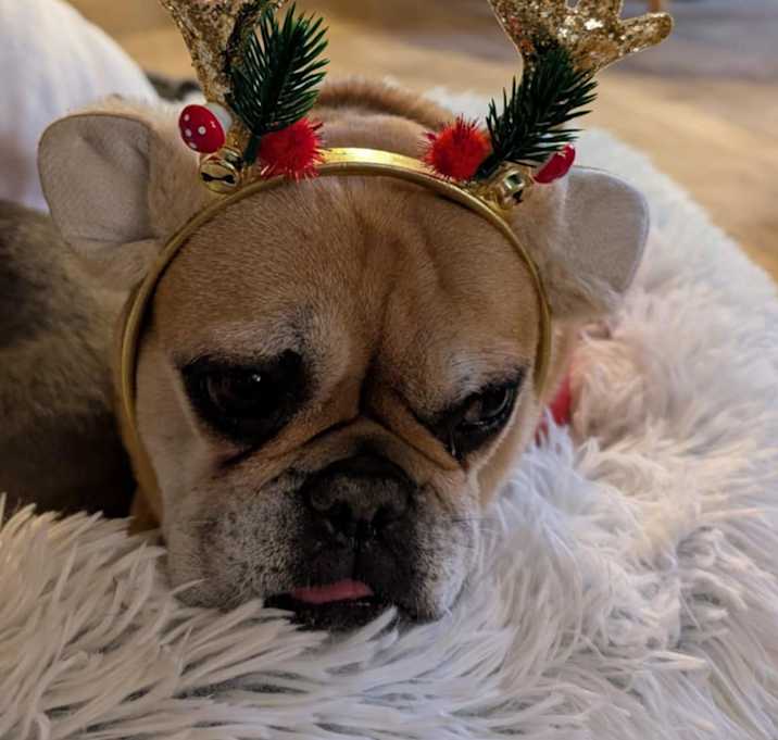 Photo of Ruby