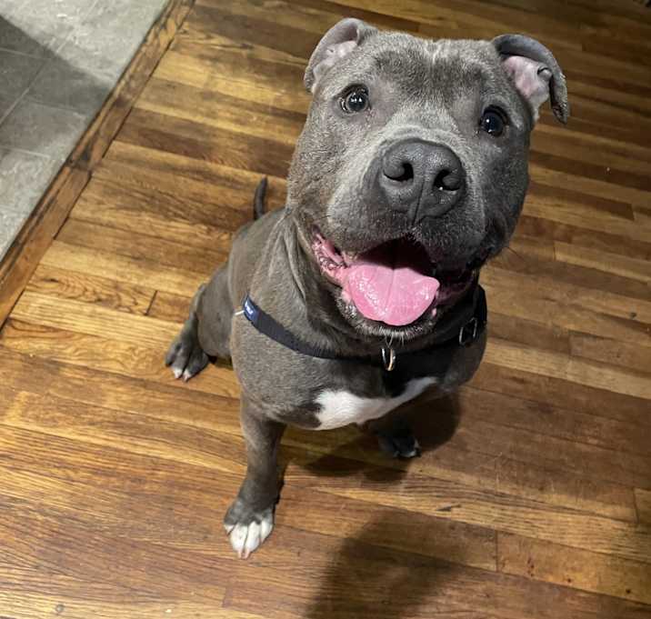 Photo of Murphy