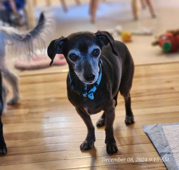 Photo of Max