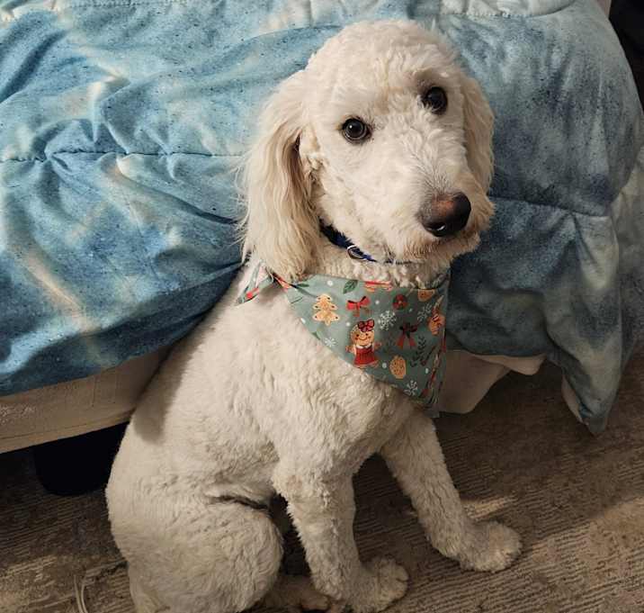 Photo of Sunny
