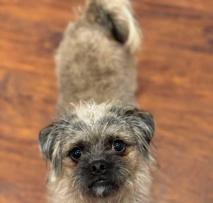 Photo of Fuzzy!