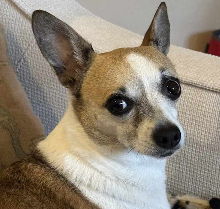 Photo of Sissy