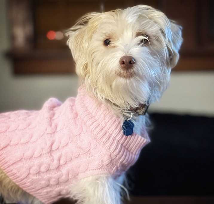Photo of Sissy May-bee