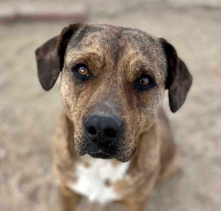 Photo of DAISY
