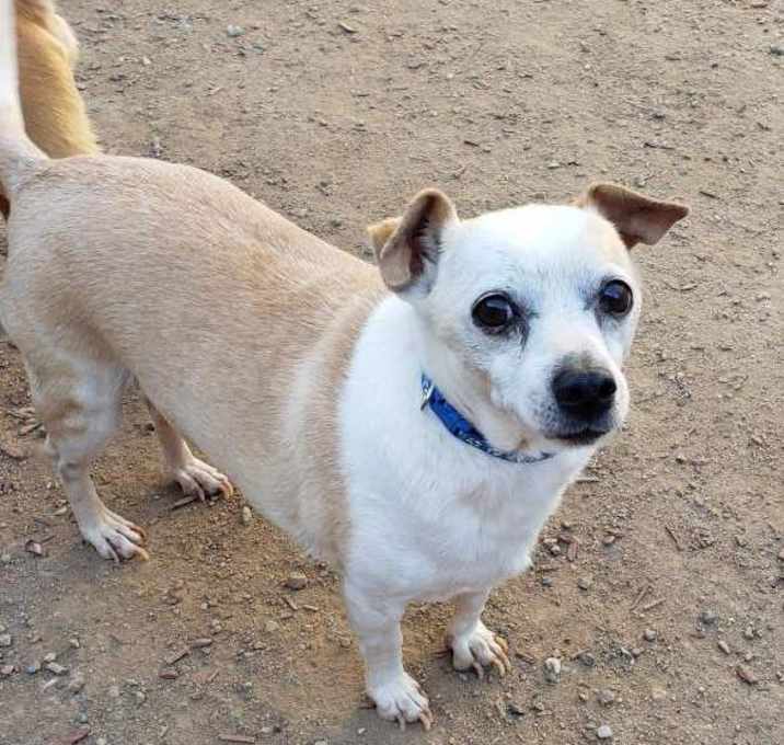Photo of SAMSON