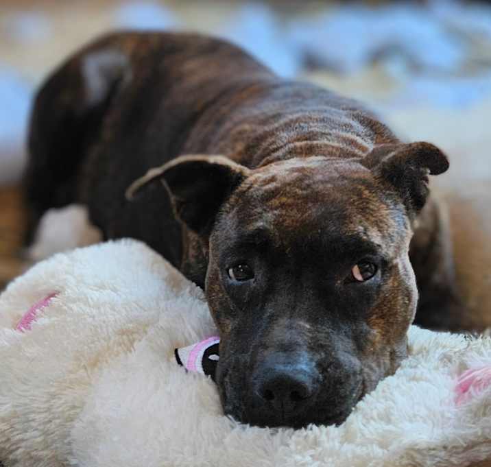 Photo of Ember
