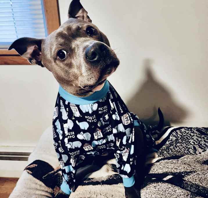 Photo of Smokey