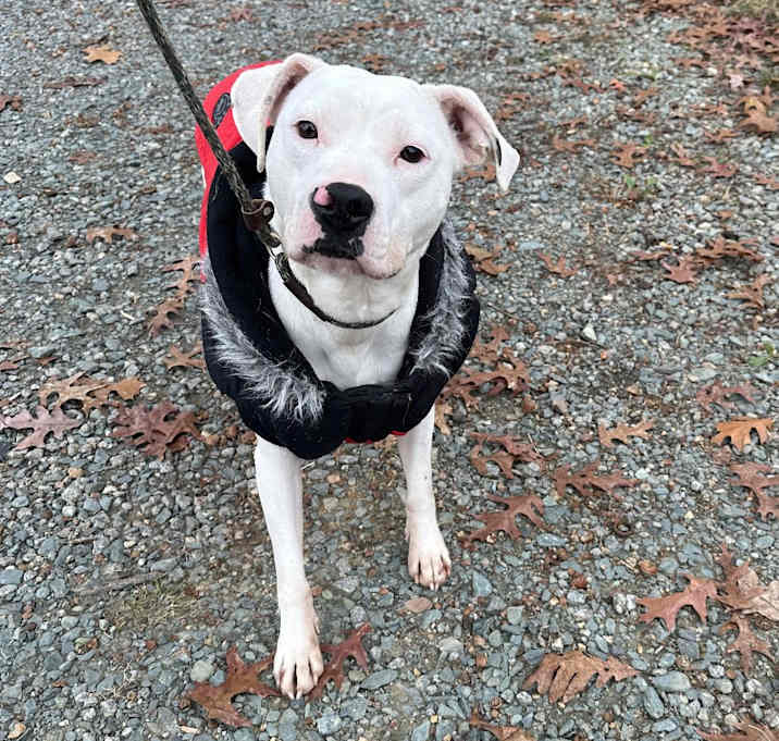 Photo of Daisy Mae