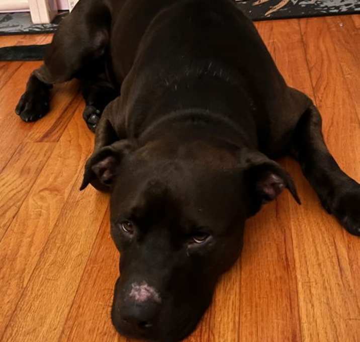 Photo of ZERO
