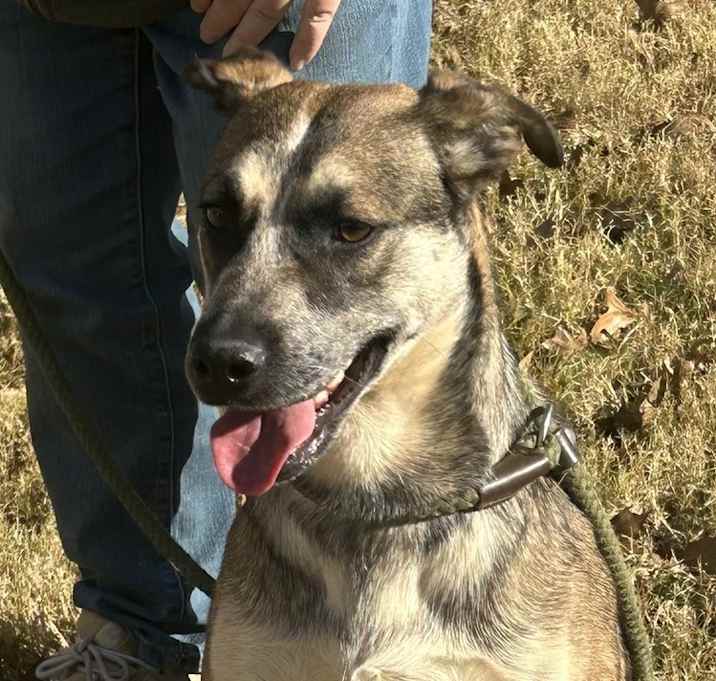 Photo of Rascal