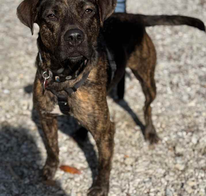 Photo of Buster