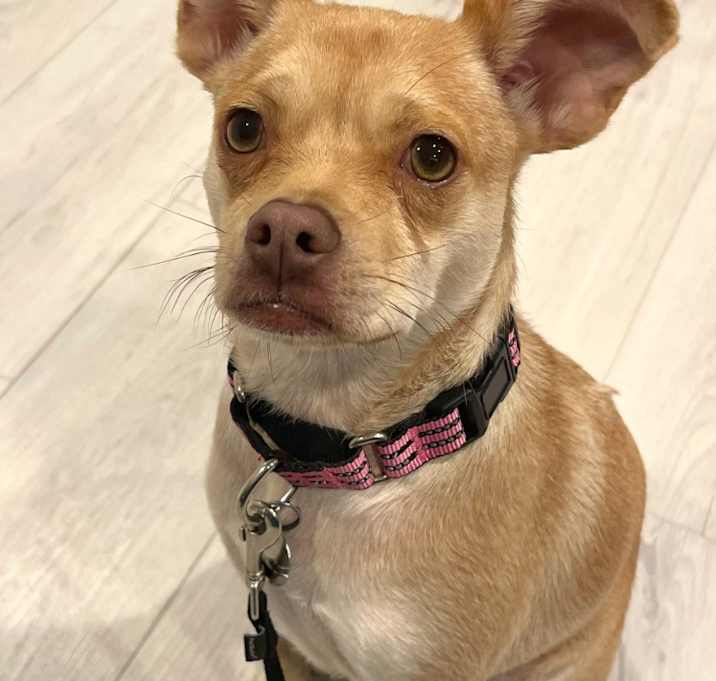 Photo of Tia