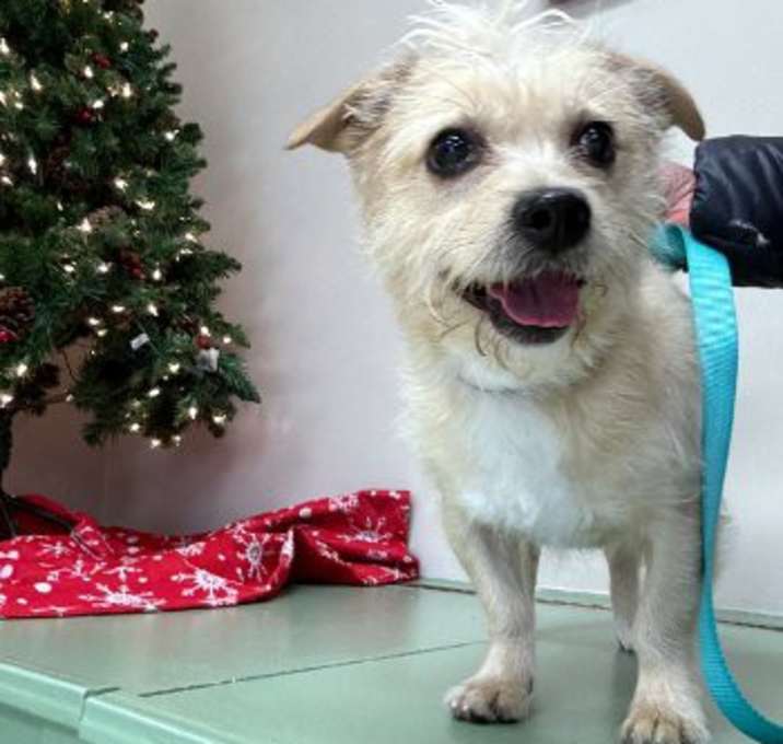 Photo of Duffy