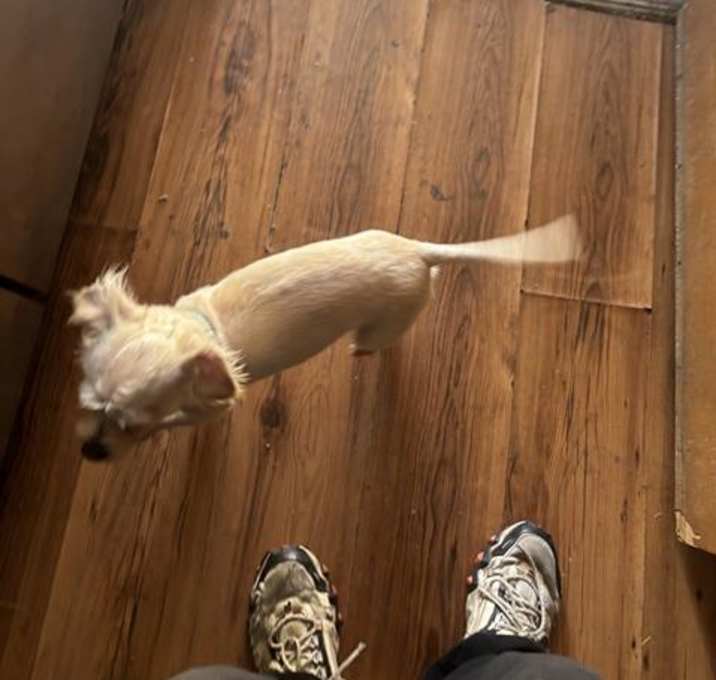 Photo of SPARKY