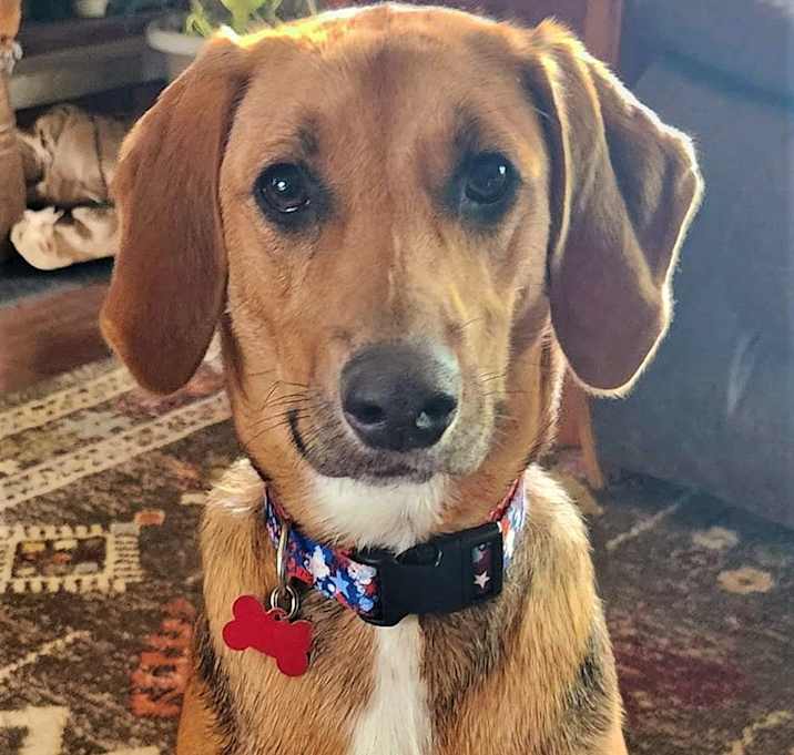 Photo of Sadie