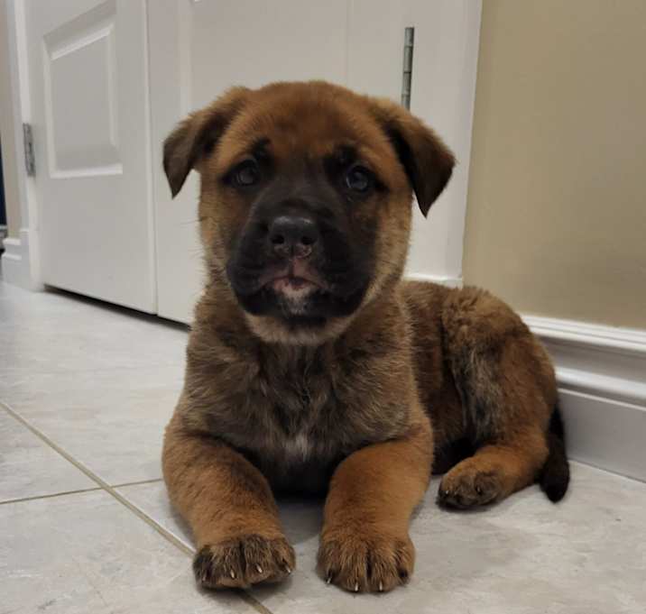 Photo of Yoshi