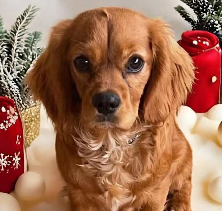 Photo of MITZY