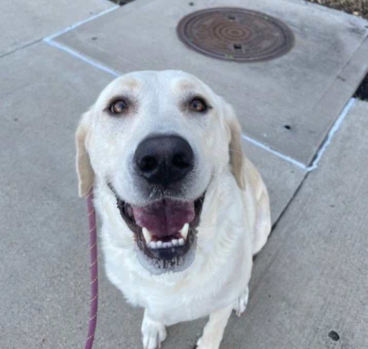 Photo of Phoebe