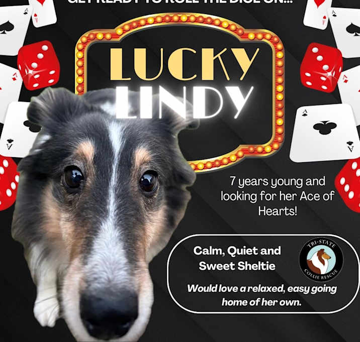 Photo of Lindy