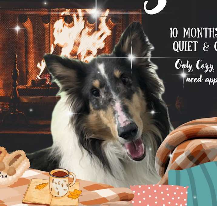 Photo of Smokey