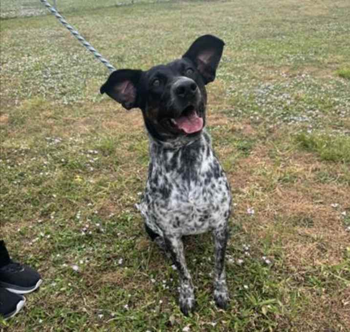 Photo of OREO