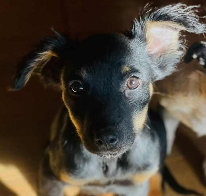 Photo of Junior (aka Gee)