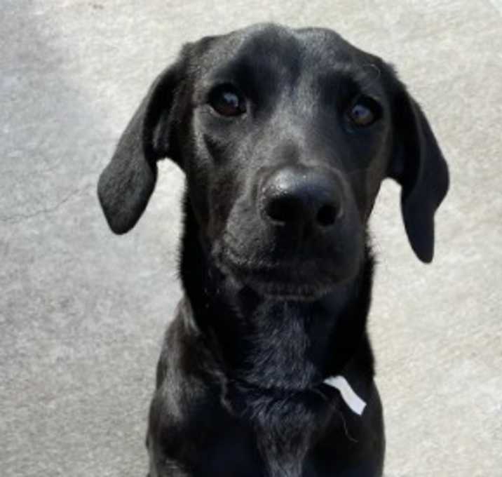 Photo of Lucy